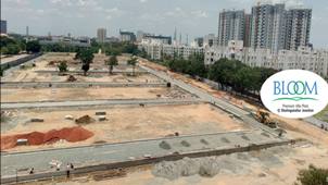 TVH Bloom Plots